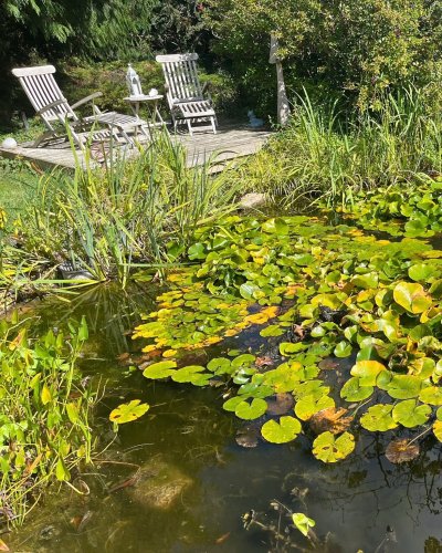 Carousel post from wild_about_the_wychwoods.