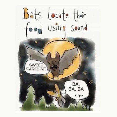 Video post from friends_of_ridgefield_nwr.