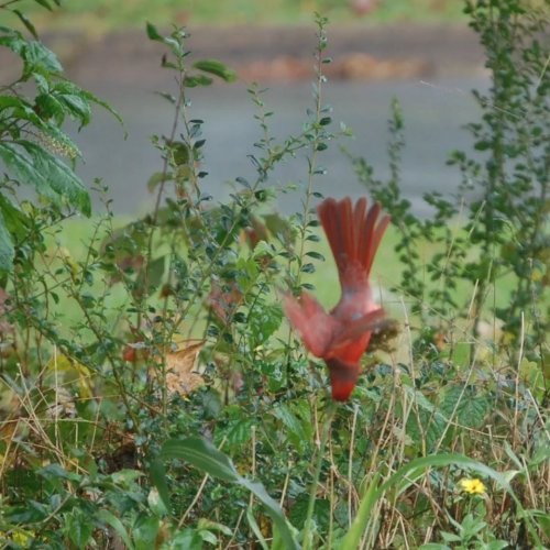 Photo post from thebeeandbee042608.