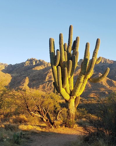 Photo post from rockinriverranch.