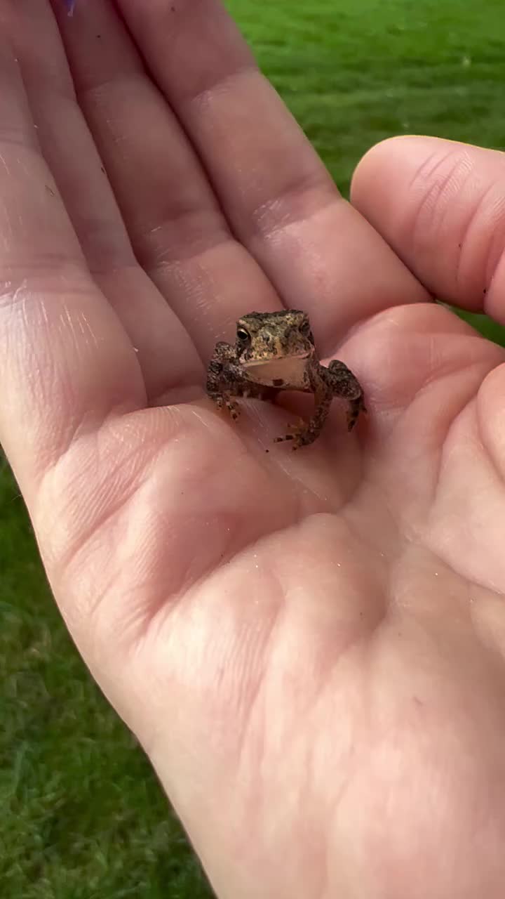 Video post from quiet.soil.