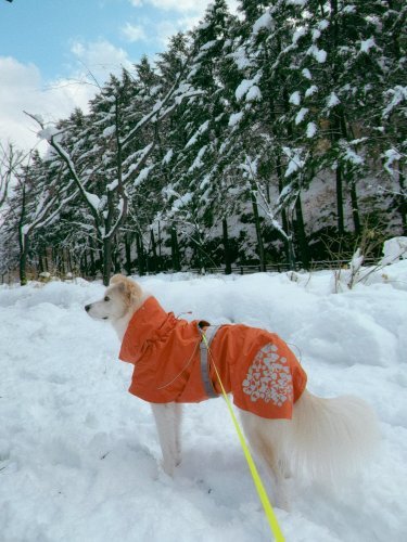 Carousel post from happy.nopi.