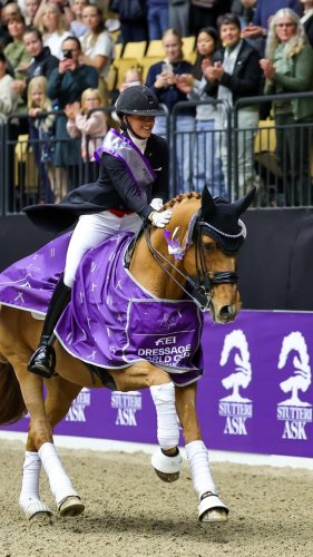 Video post from fei_global.