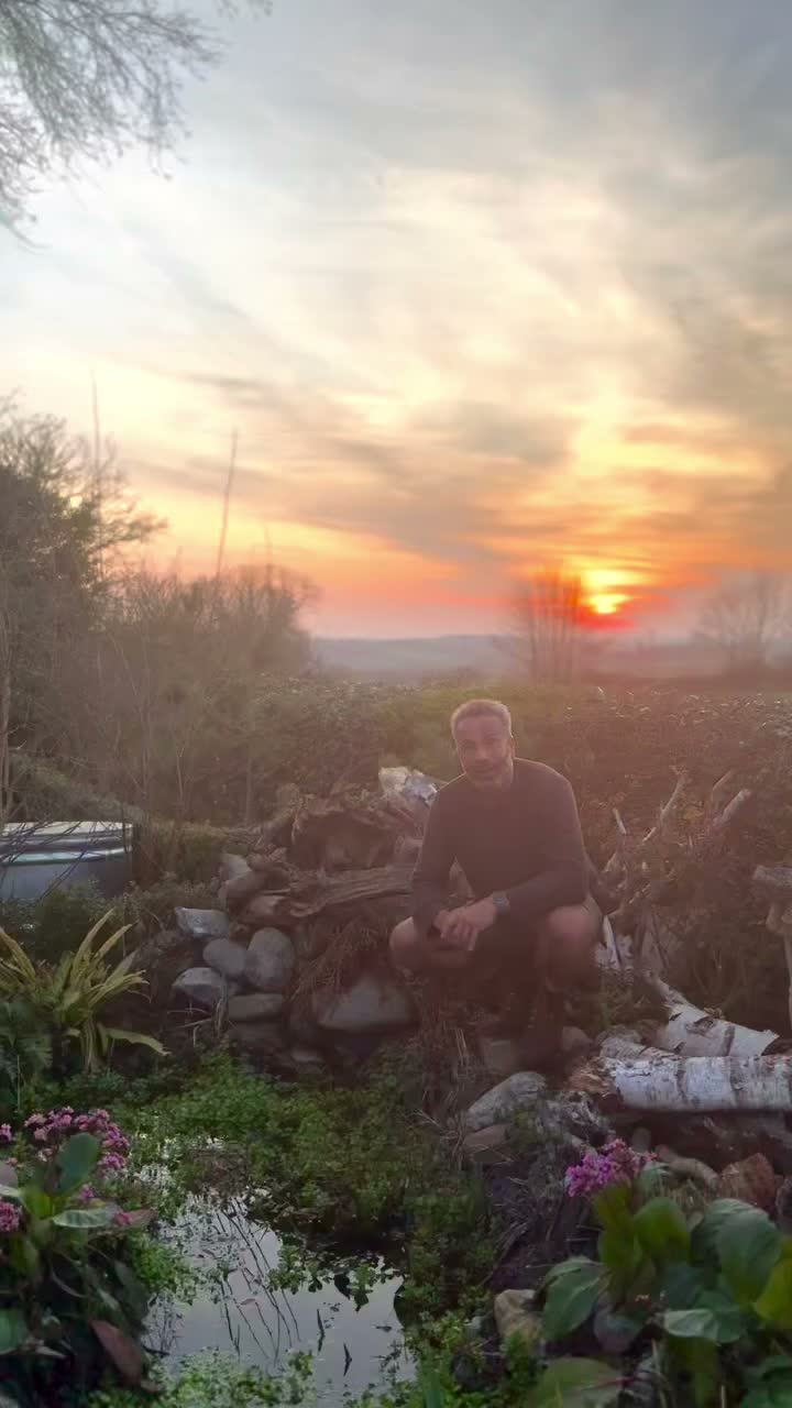 Video post from alliumgardeners.