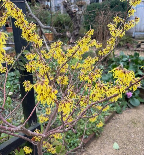 Photo post from gardenhousebrighton.