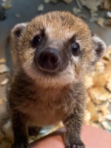 Photo post from njexoticpets.