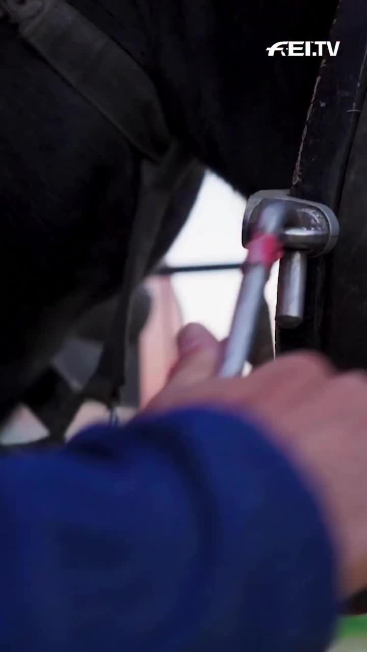 Video post from fei_global.