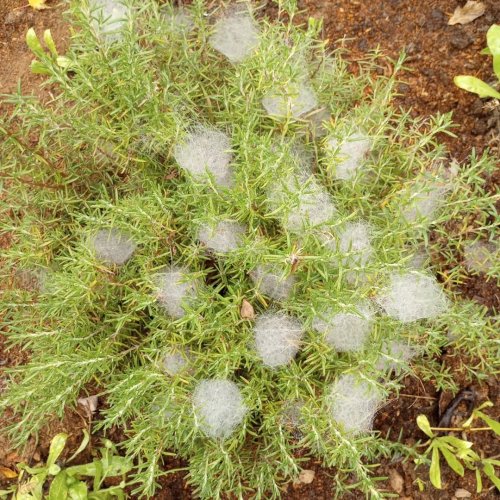 Carousel post from thebeeandbee042608.