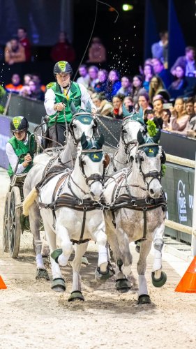 Video post from fei_global.