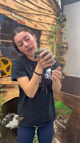 Video post from njexoticpets.