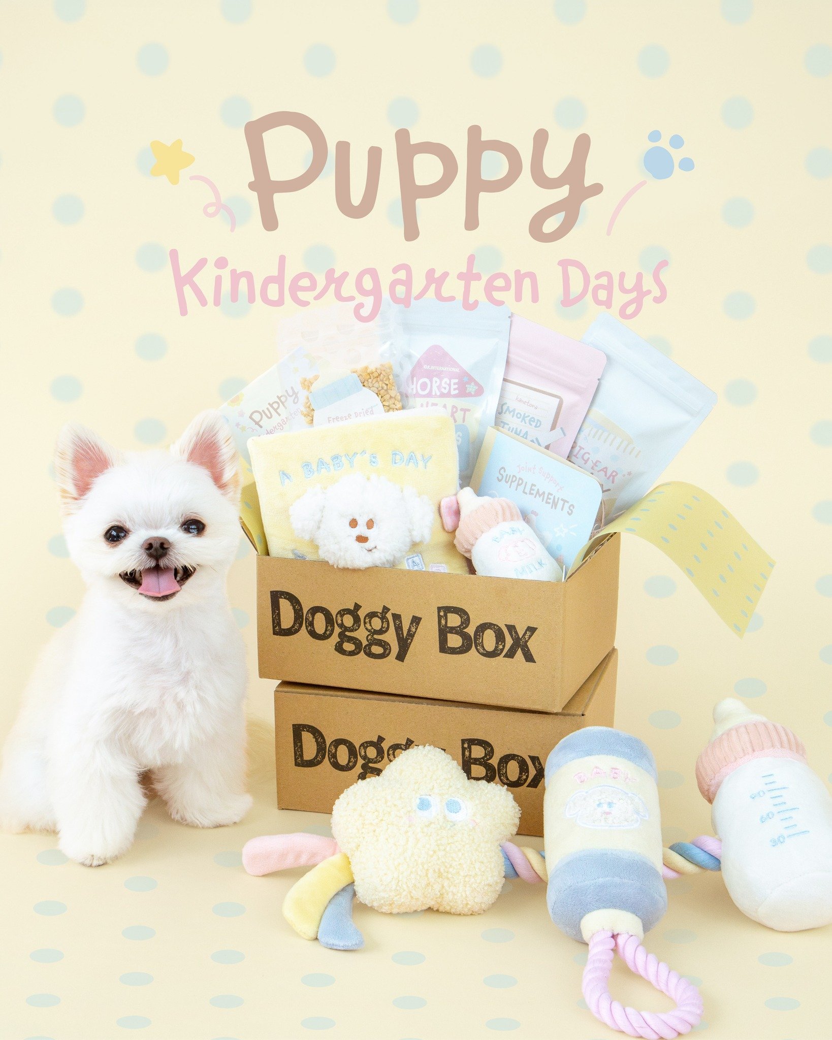Doggy Box | ワンちゃんのためのワクワク定期便
