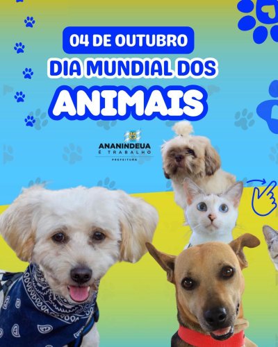 Carousel post from ananindeuapma.