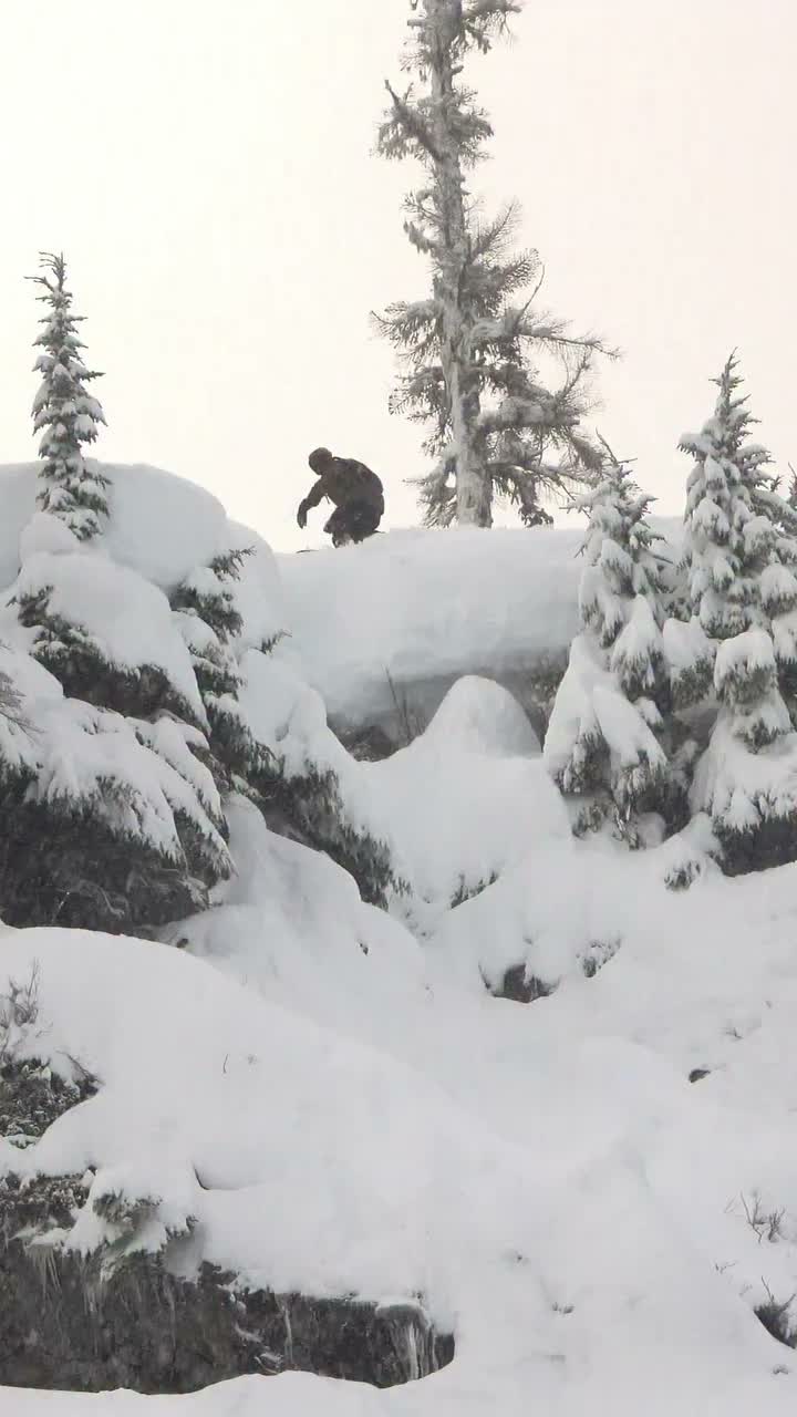 Video post from libtechnologies.
