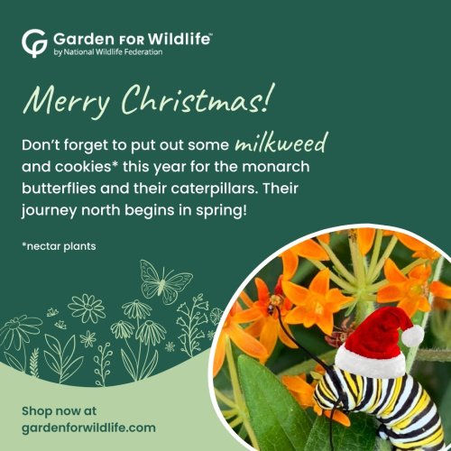 Photo post from gardenforwildlife.