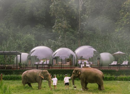 Photo post from amazingthailandjp.