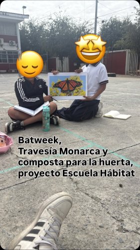 Video post from battus.publicaciones.