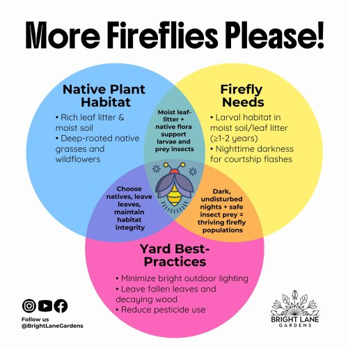 Photo post from brightlanegardens.