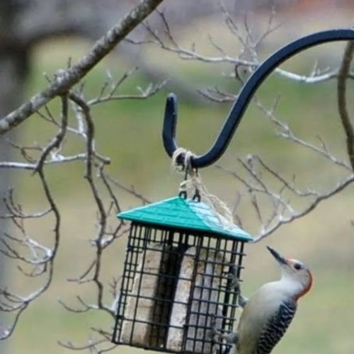 Carousel post from thebeeandbee042608.