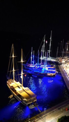 Video post from jandewit.4848.