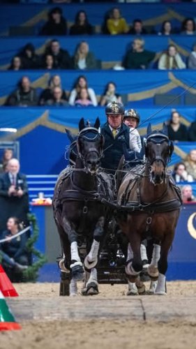 Video post from fei_global.