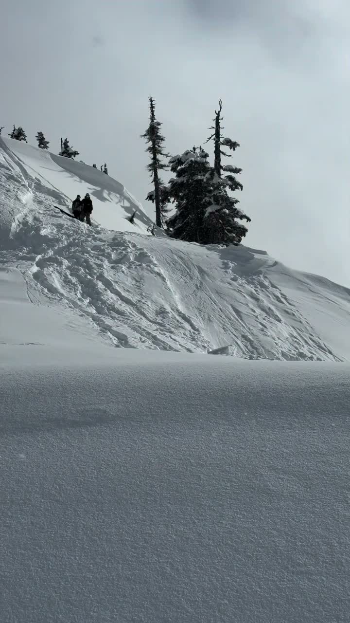 Video post from gnusnowboards.