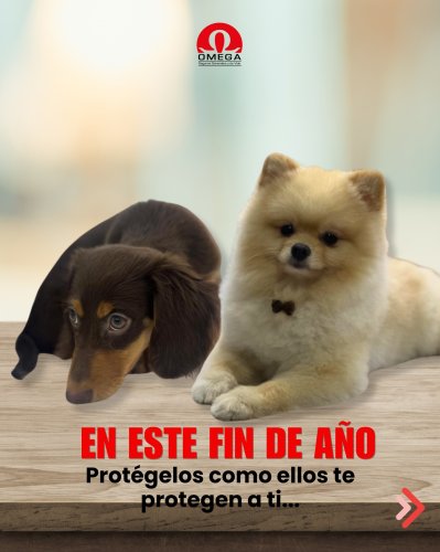 Carousel post from omegasegurosco.