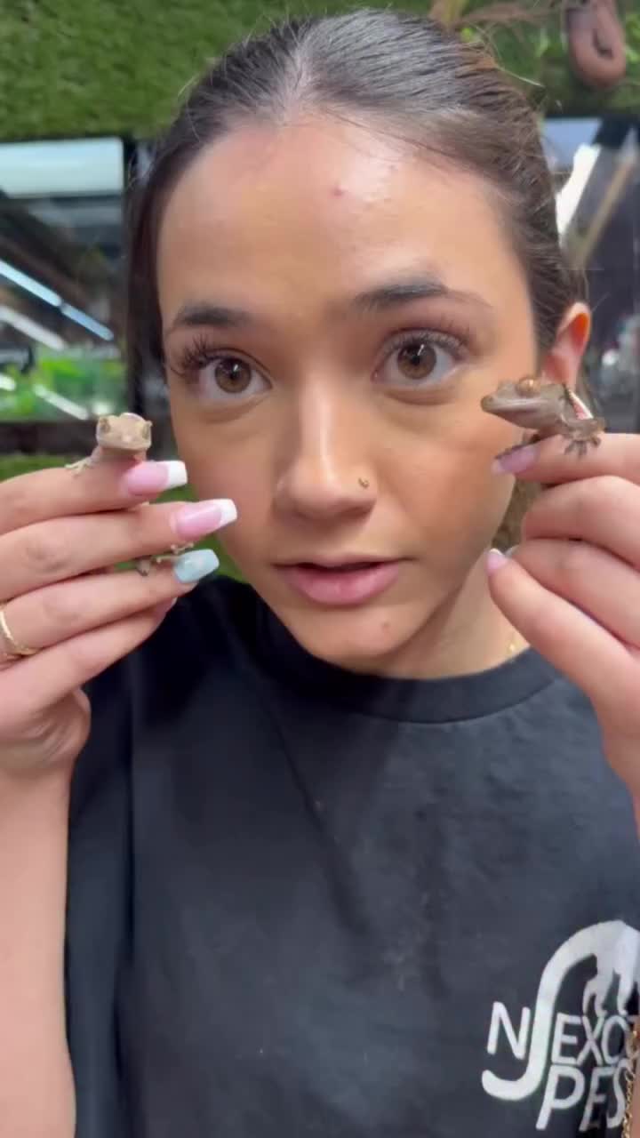 Video post from njexoticpets.