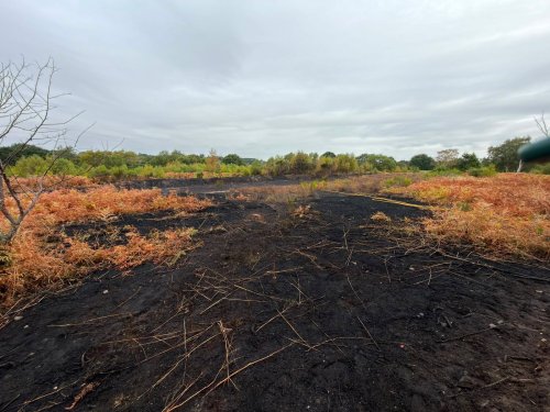 Photo post from bramleynewspaper.
