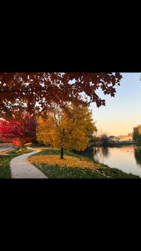 Video post from annelizabethjewelry.