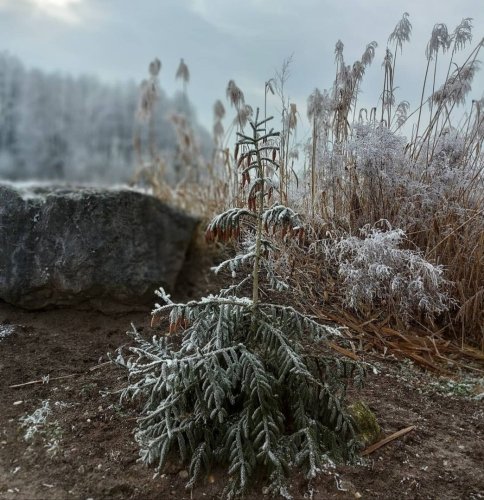 Photo post from regionzahorie.sk.