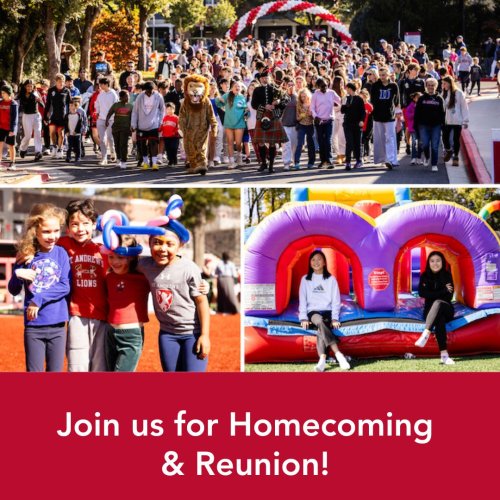 Photo post from saeslions.