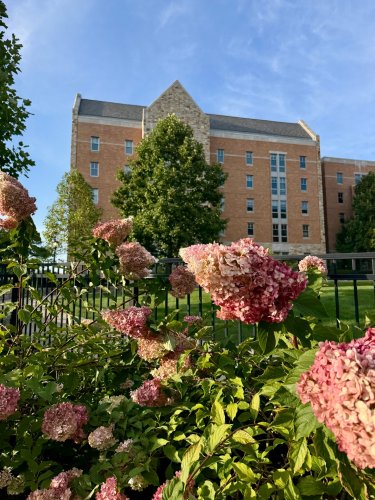 Photo post from bostoncollege.