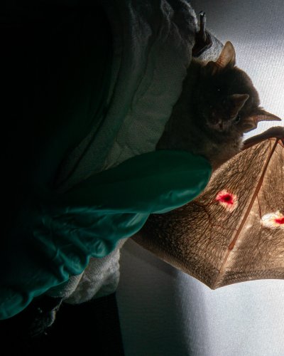 Carousel post from lanz_wild.