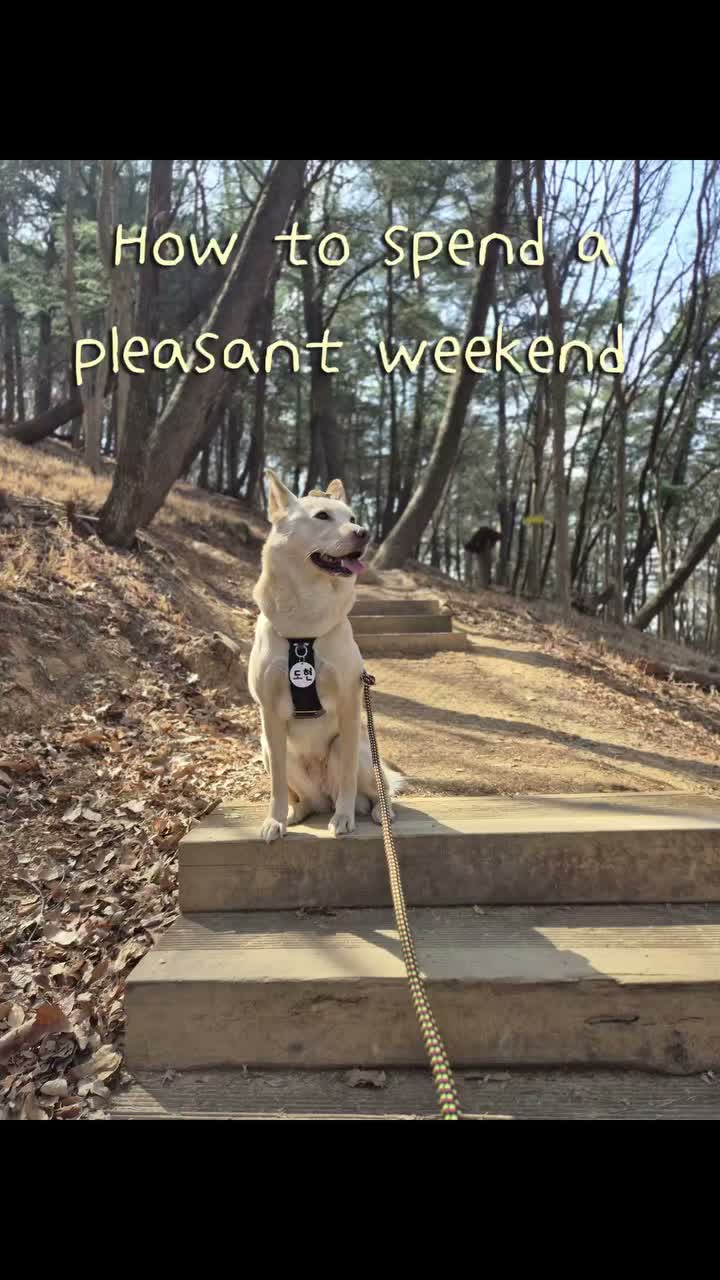 Video post from do_tothe_hyeon.