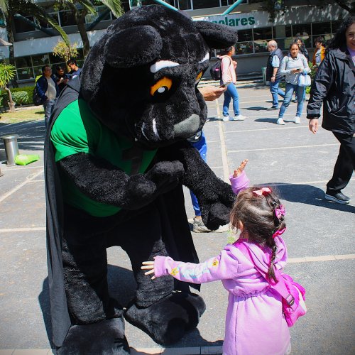 Carousel post from murci_uami.