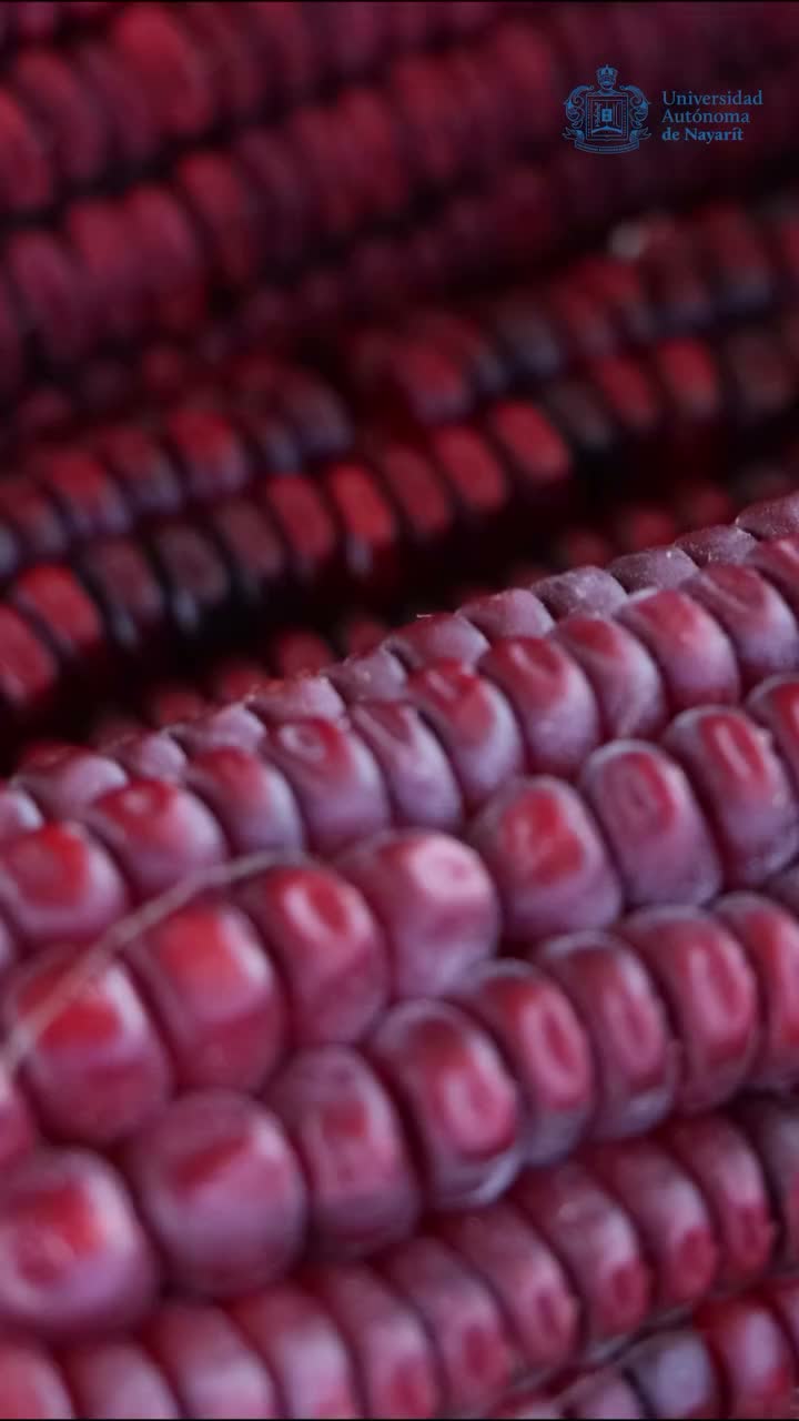 Video post from uan.oficial.