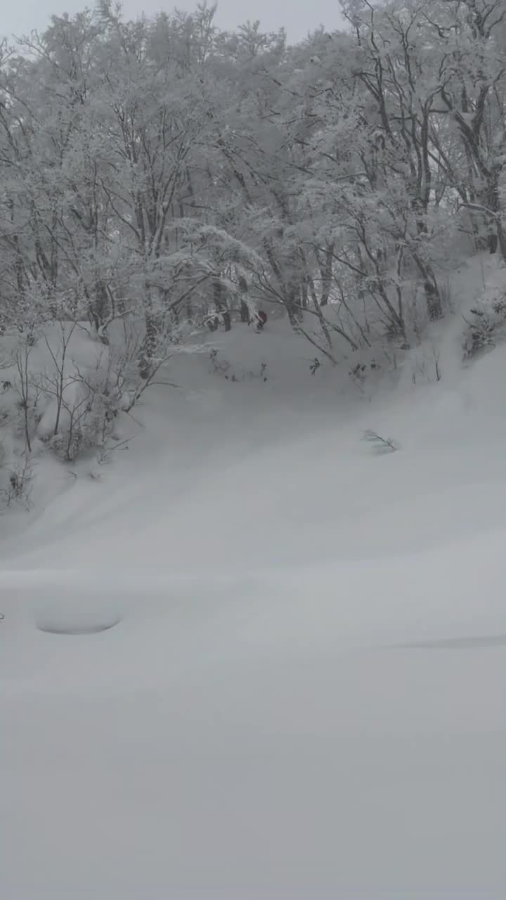 Video post from libtechnologies.