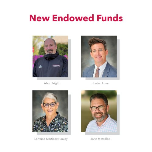 Photo post from saeslions.