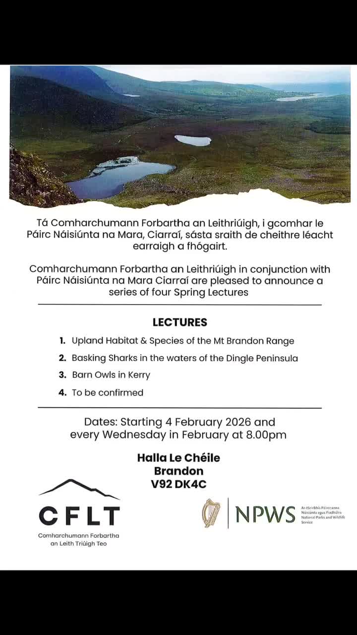 Video post from dinglepeninsulatourism.