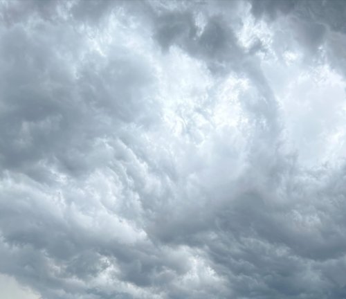 Photo post from ucrbotanicgardens.