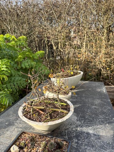 Carousel post from gardenhousebrighton.