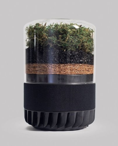 Photo post from briiv.natural.