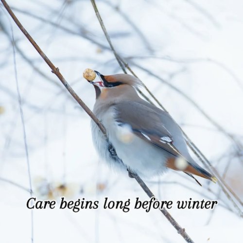 Carousel post from bkab83.