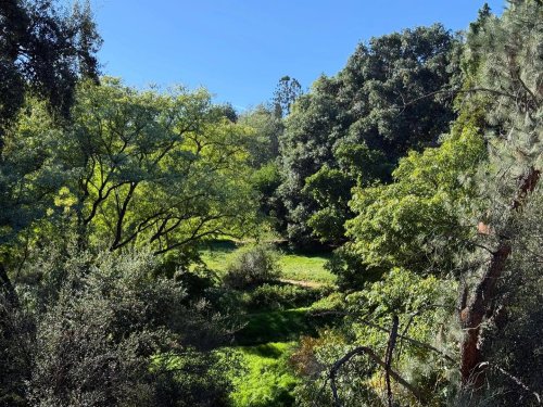 Photo post from ucrbotanicgardens.