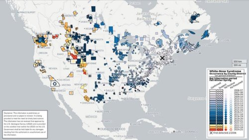 Photo post from rockinriverranch.