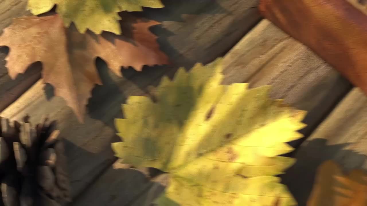 Video post from pakfightspolio.