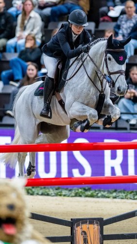 Video post from fei_global.