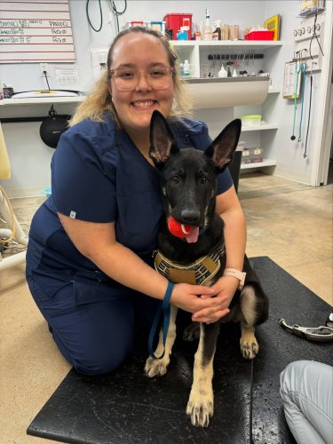 Photo post from familyanimalhospitalcm.