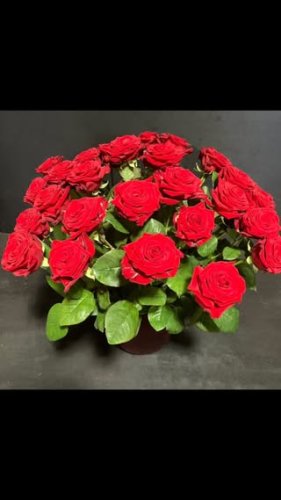Video post from dellemannbloemen.