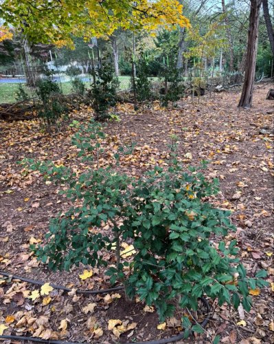 Photo post from mireade2025.